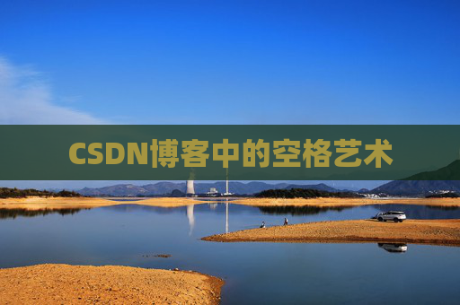 CSDN博客中的空格艺术